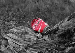 kajag76-coca-cola-2400221_640