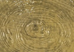 kalhh-water-2697750_640