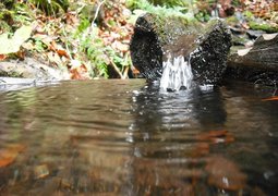 klatou-water-411405_640