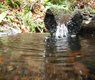 klatou-water-411405_640