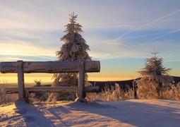 landscape-tree-wilderness-mountain-snow-winter-674617-pxhere.com