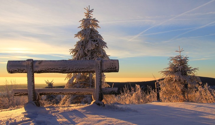 landscape-tree-wilderness-mountain-snow-winter-674617-pxhere.com