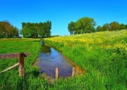 mabelamber-dutch-landscape-5164580_640