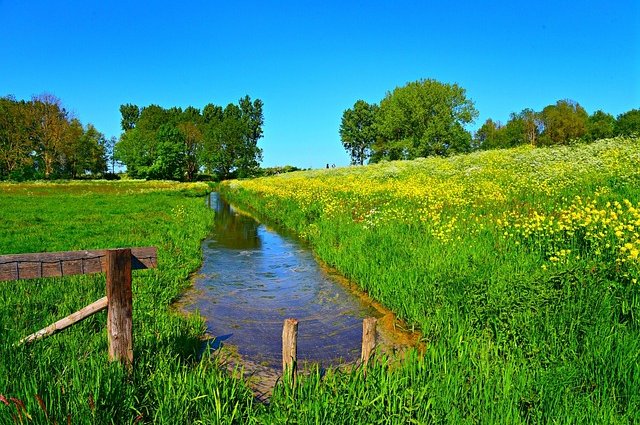 mabelamber-dutch-landscape-5164580_640