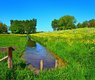 mabelamber-dutch-landscape-5164580_640