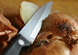 mabelamber-onion-1434851_640
