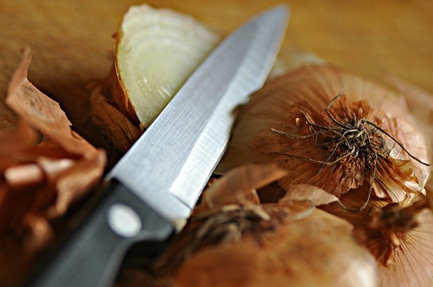 mabelamber-onion-1434851_640