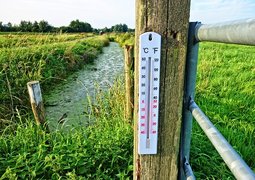 mabelamber-thermometer-2906817_640