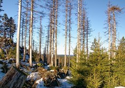 makalu-germany-4686763_640