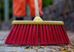 mauriciomonteirofranca-broom-6310388_640