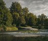 michael_pointner-trees-7318791_640
