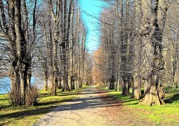 monika1607-linden-avenue-3335769_640