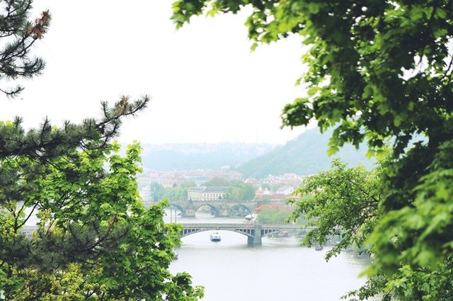 morgane-le-breton-efscU0fn5jg-unsplash