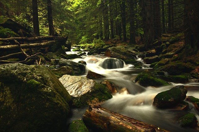 mrshaggy-river-5213680_640