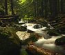 mrshaggy-river-5213680_640