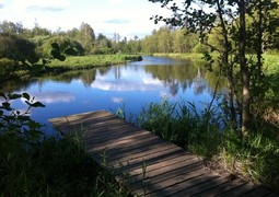 nature-lake-pond-web-rest-reservoir-597182-pxhere.com