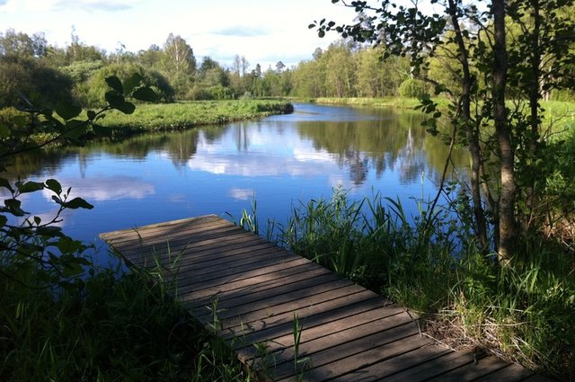 nature-lake-pond-web-rest-reservoir-597182-pxhere.com