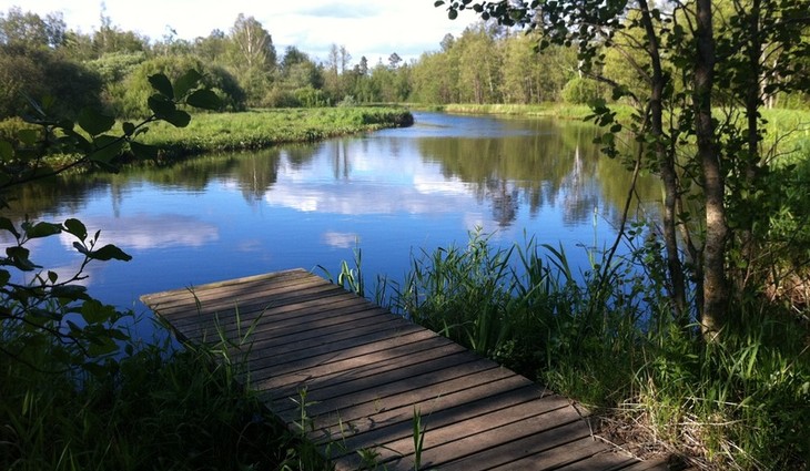 nature-lake-pond-web-rest-reservoir-597182-pxhere.com