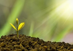 nature_design-investment-5241253_640