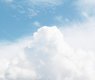 nika_akin-blue-5136251_640
