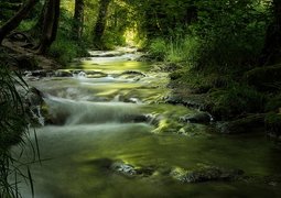 nordseher-bach-7289941_640