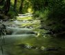 nordseher-bach-7289941_640