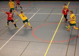 onemadis-floorball-494804_640