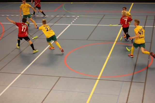 onemadis-floorball-494804_640