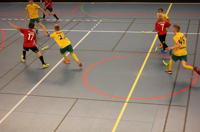 onemadis-floorball-494804_640