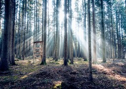 pascal-debrunner-PZoMDIOKPPQ-unsplash