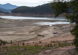 pen_ash-drought-4133538_640
