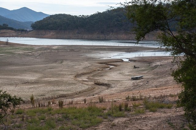pen_ash-drought-4133538_640