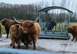 pexels-alex-blokstra-300443-1645856