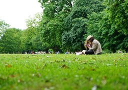 pexels-chrisjmitchell-1528361