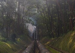 pexels-fendikr-27128146