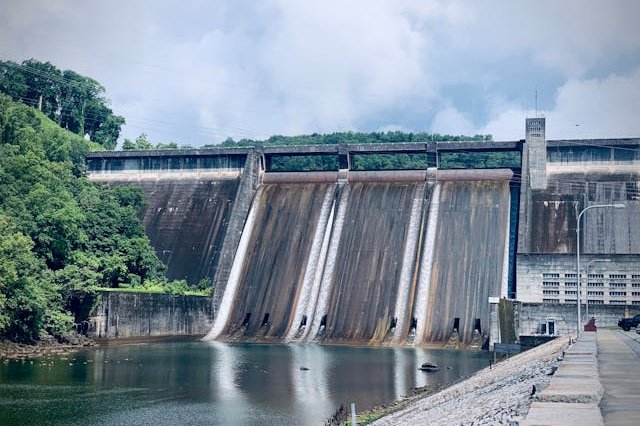 pexels-jonathan-einwechter-1312107-32482487