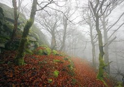 pexels-karel-drozda-1650796700-29766635