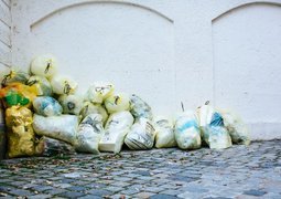 pexels-markusspiske-4651148