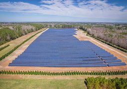 pexels-nc-farm-bureau-mark-15751122