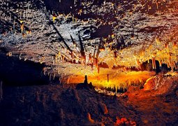 pexels-peter-de-vink-288978-849385