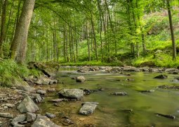 pexels-stepan-vrany-591647707-17301599