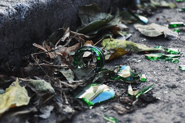 pexels-suzyhazelwood-2955032