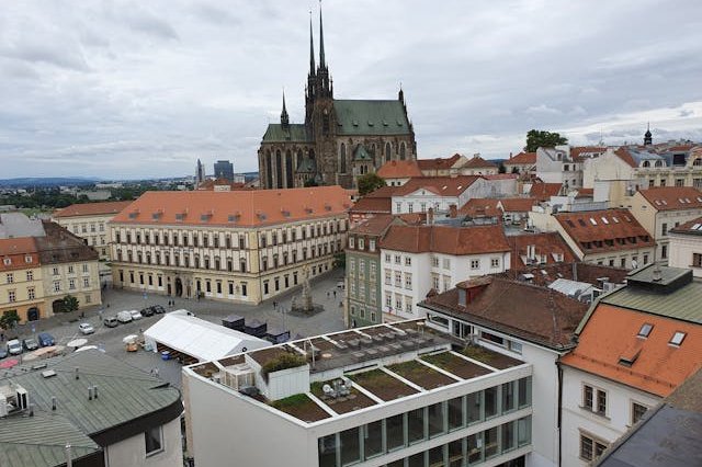 pexels-zeev-hazenfratz-1636750-33706917