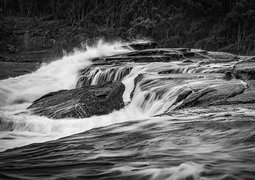 photoeightyeight-river-8540767_640