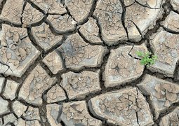 radhey-khandelwal-pPKlQL4D9Uk-unsplash