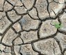radhey-khandelwal-pPKlQL4D9Uk-unsplash