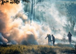 ronaldplett-firemen-7692825_640