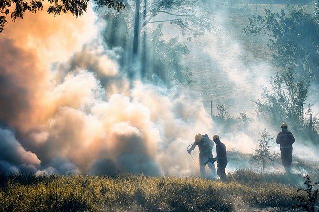 ronaldplett-firemen-7692825_640