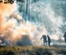 ronaldplett-firemen-7692825_640