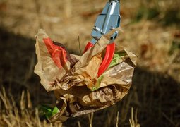 schuetz-mediendesign-garbage-1713777_640